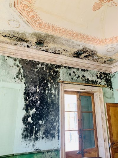 CABINET MARTINET EXPERTISES & ANALYSES