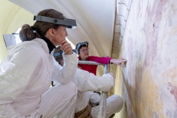 FEDERATION FRANÇAISE DES PROFESSIONNELS DE LA CONSERVATION-RESTAURATION