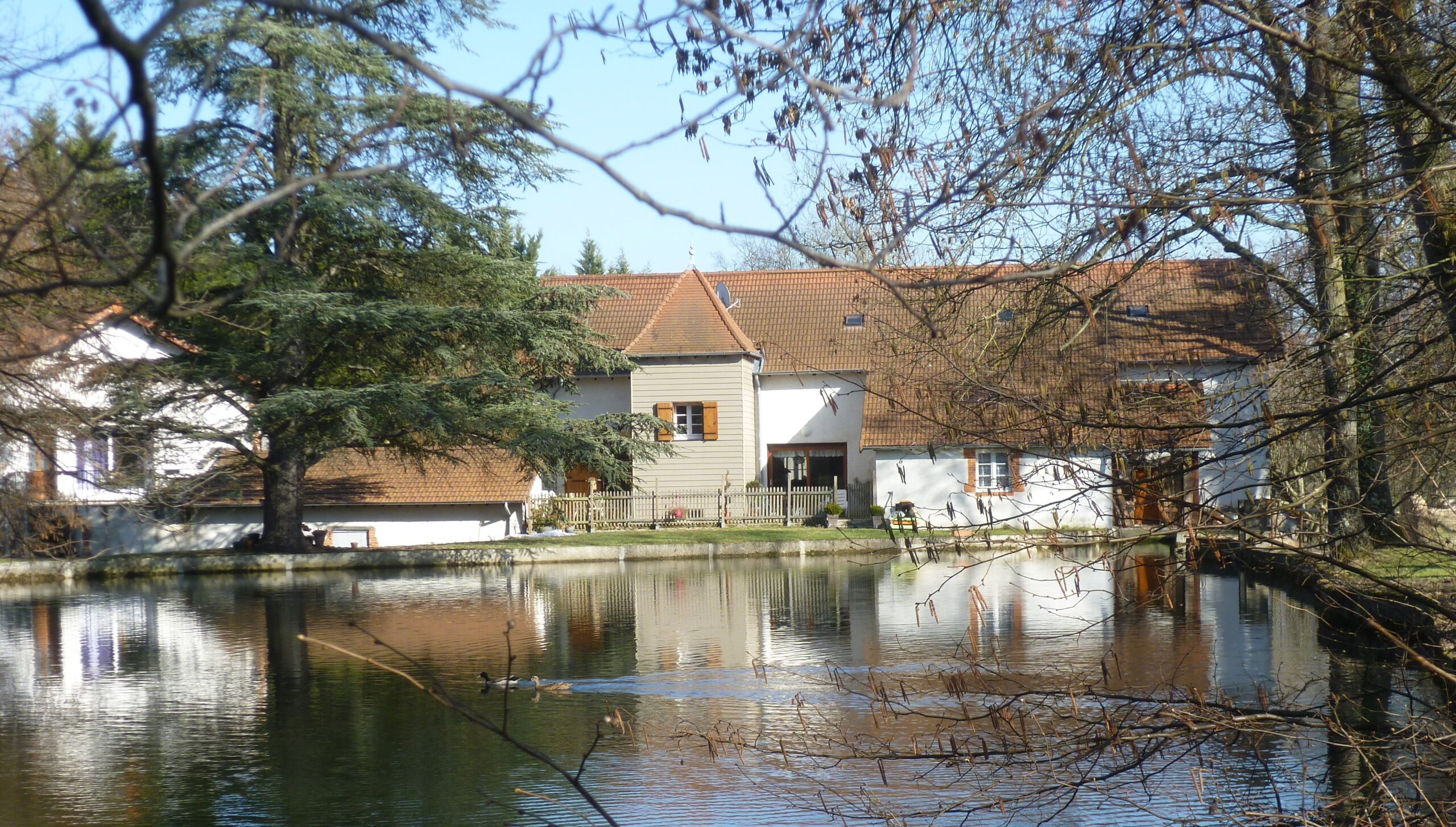 Les moulins à eau : patrimoine culturel, économique et écologique