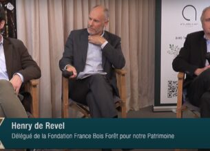 Le bois français dans le patrimoine : une fondation engagée