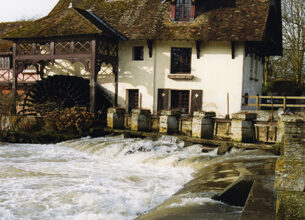 Le moulin à eau au coeur de l’écologie des rivières